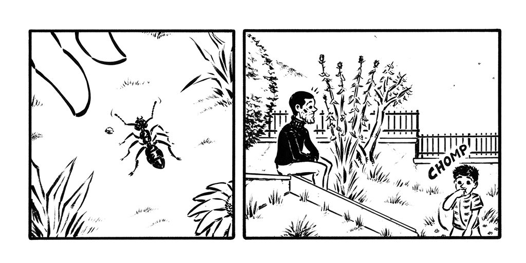 #22 – Formiche _ Parte 3